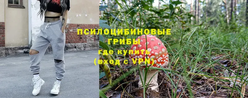 как найти закладки  Омск  Псилоцибиновые грибы Magic Shrooms 